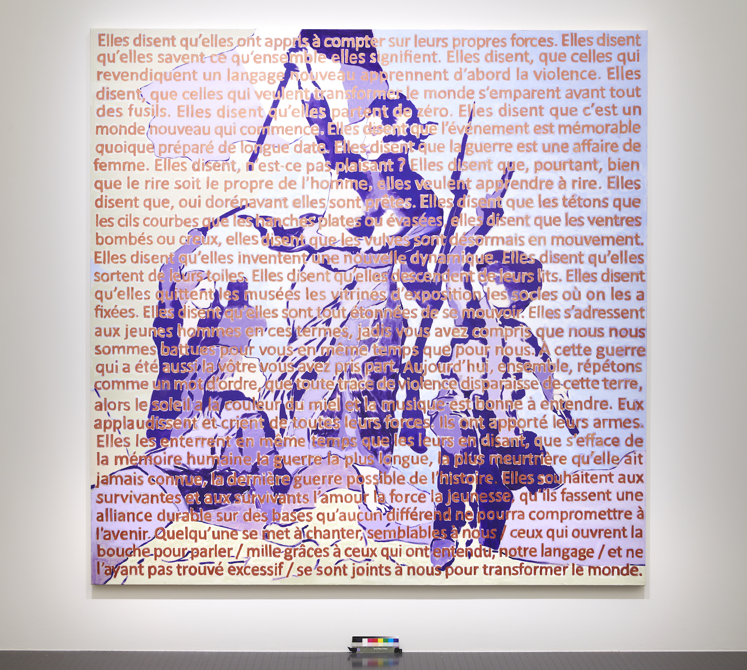 Delacroix/Wittig, Agnès Thurnauer