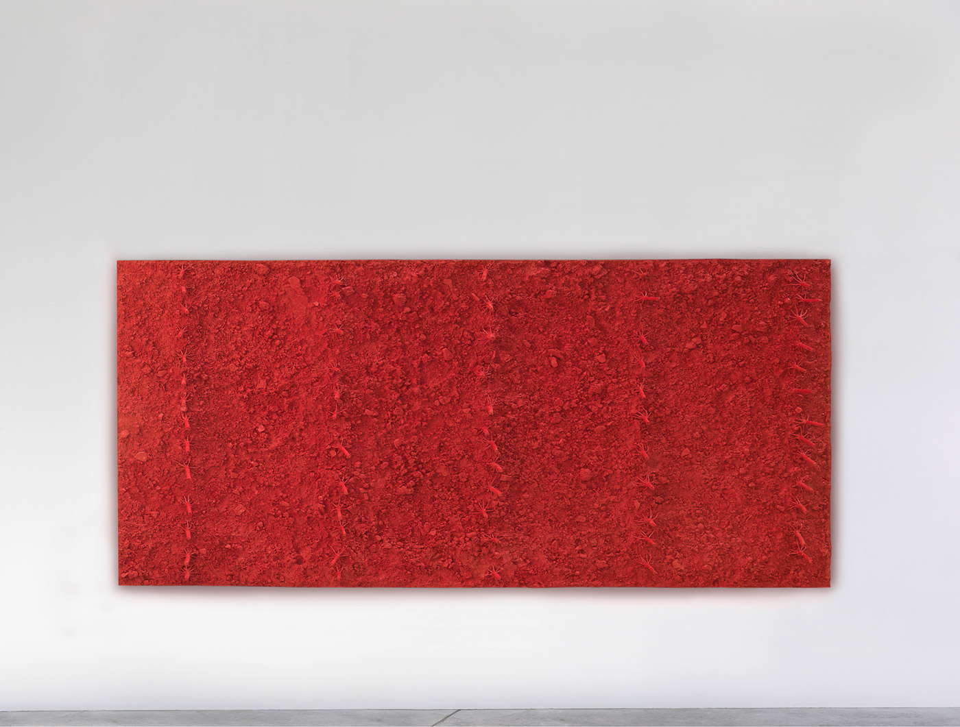 sans titre (maïs) - Red harvest, Didier Marcel