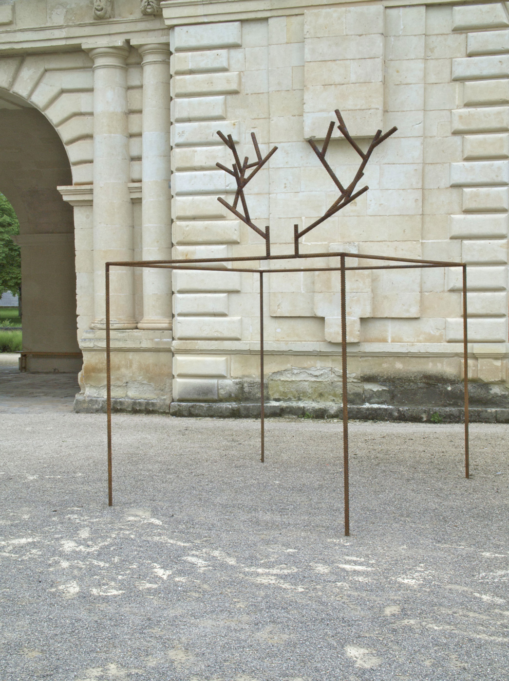 Cervidés, Didier Marcel