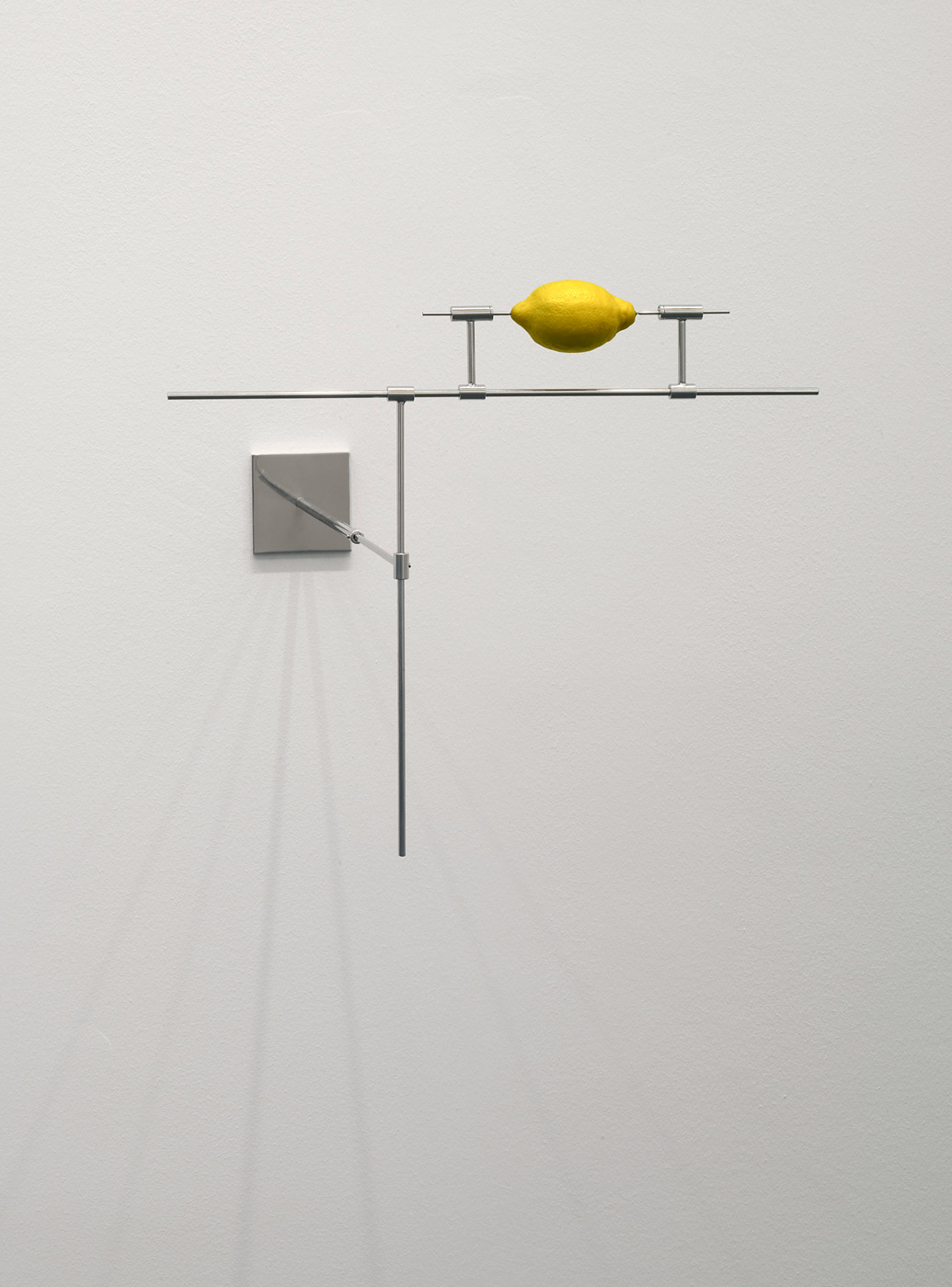 sans titre (citron), Didier Marcel