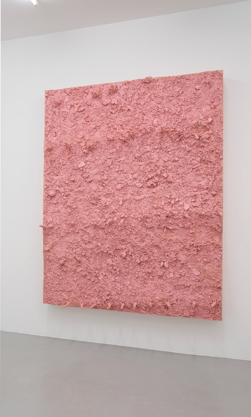 sans titre (champ de maïs), Didier Marcel