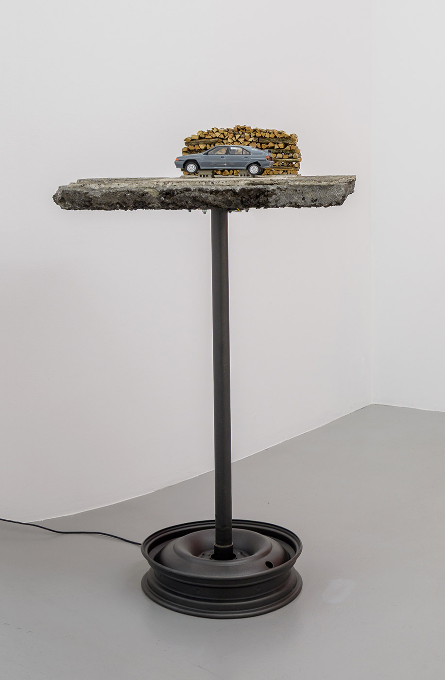 Car + Wood, Didier Marcel