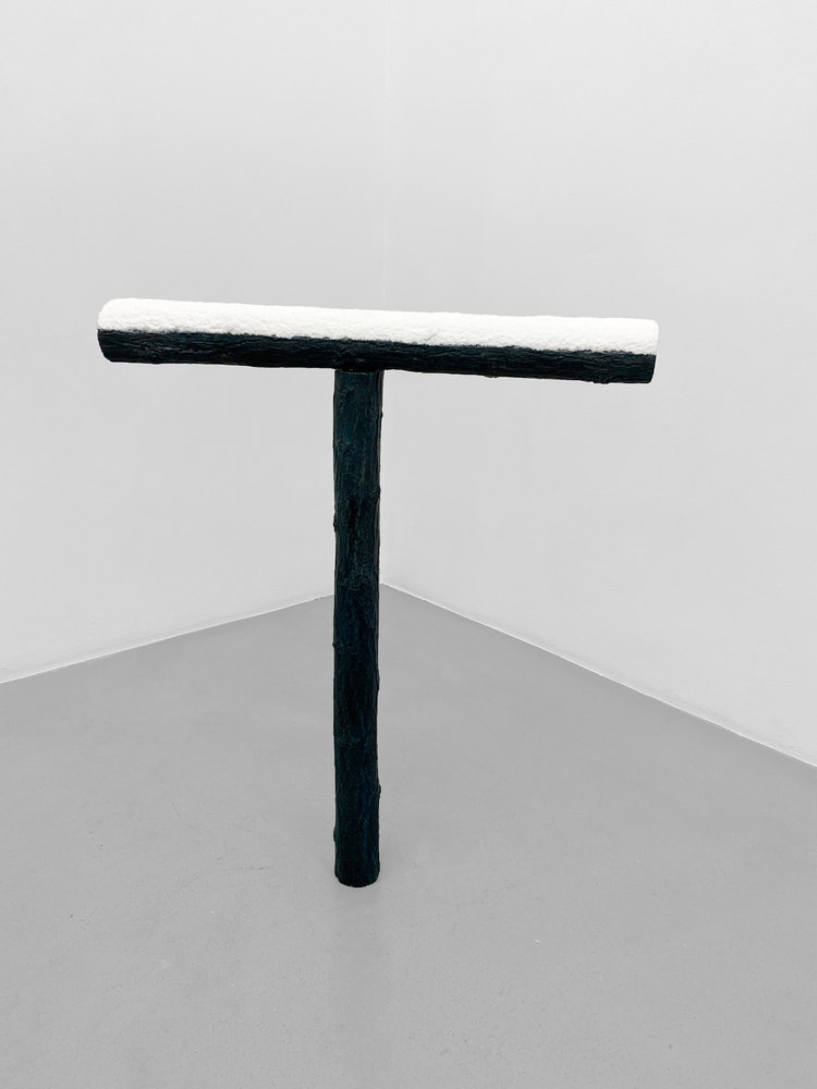 Neige - T comme Courbet, Didier Marcel