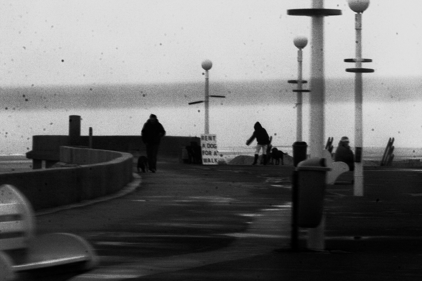 Rent a Dog (5), Elisa Pône