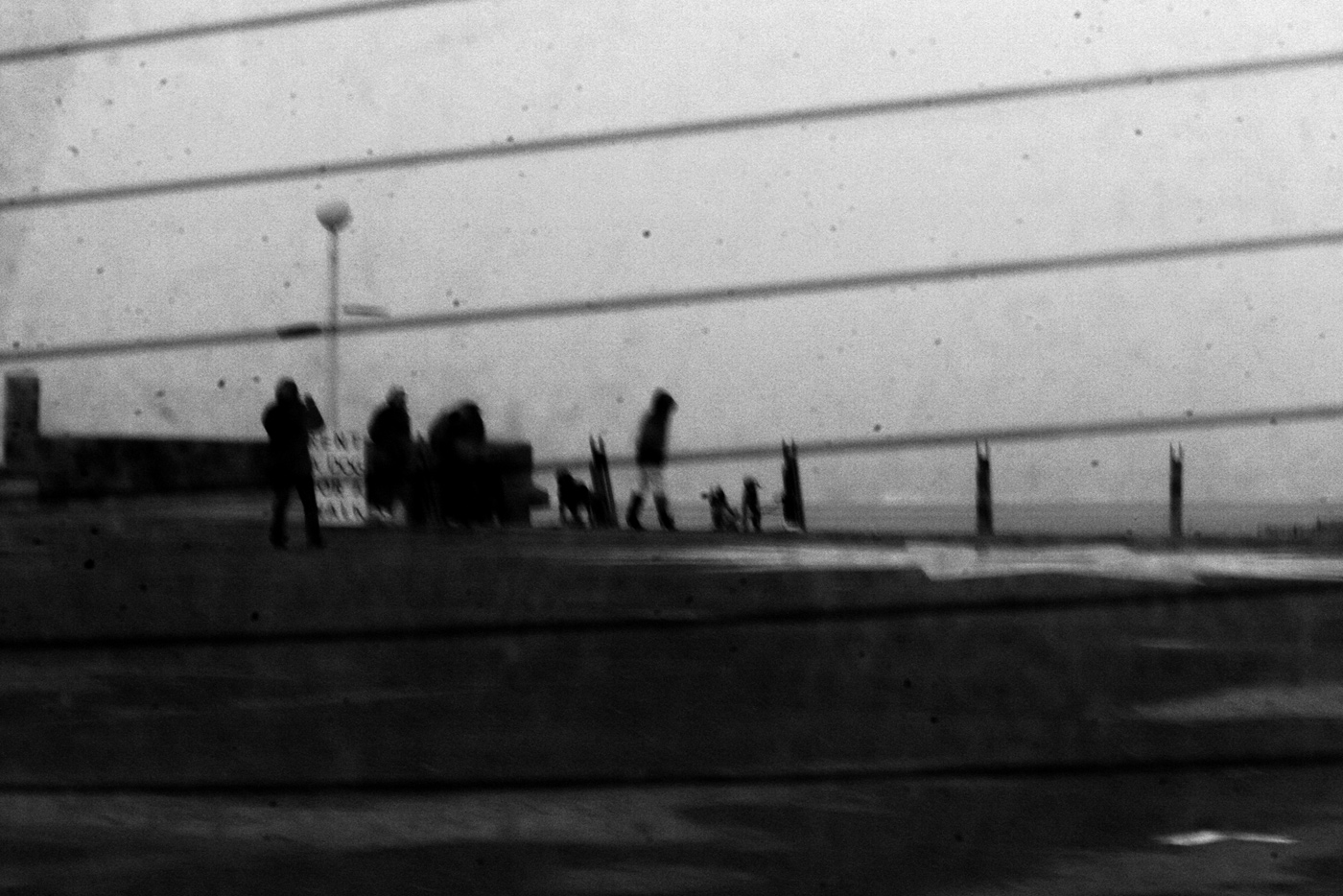 Rent a Dog (6), Elisa Pône