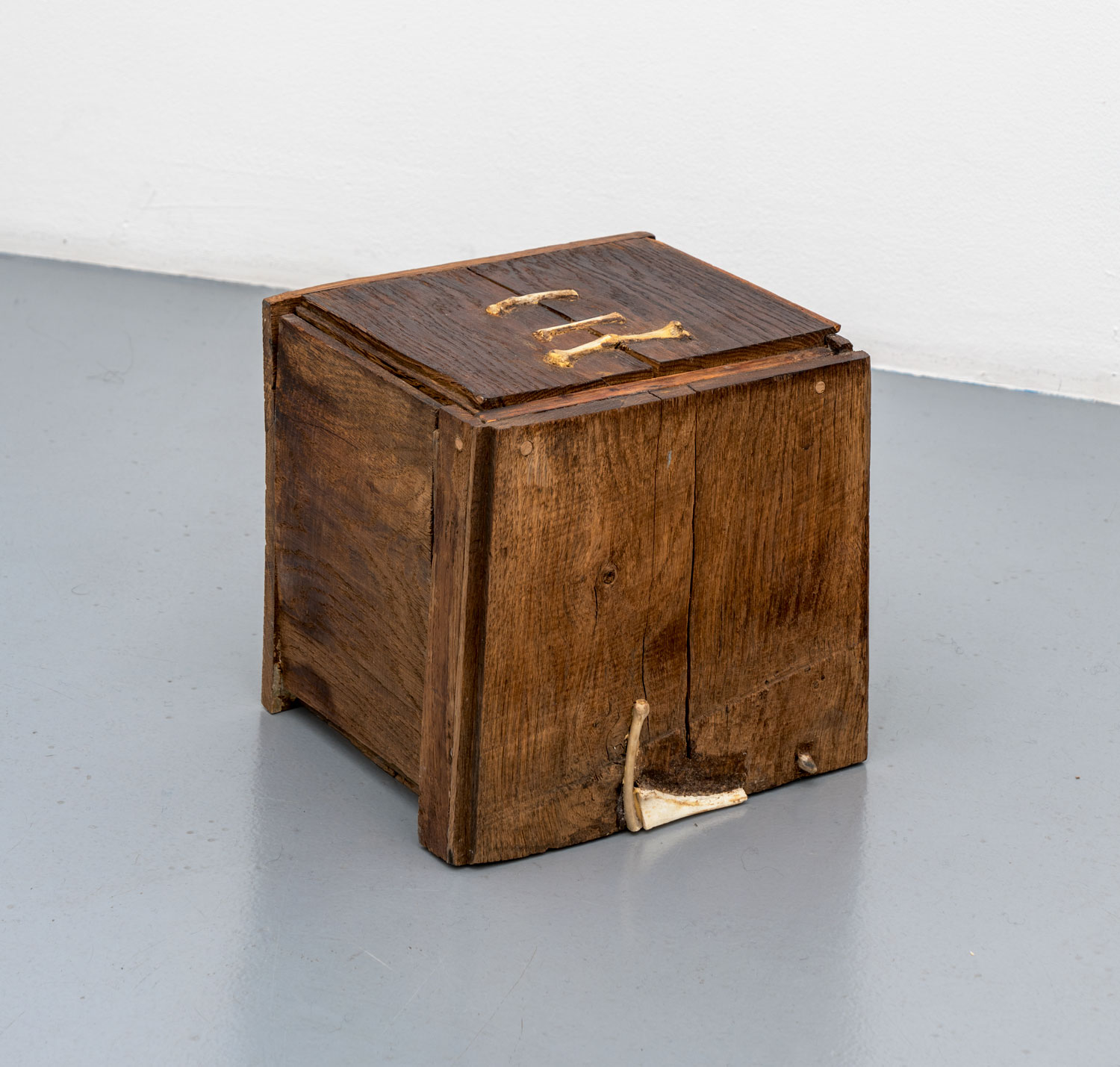 Le cube, Sébastien  Bonin