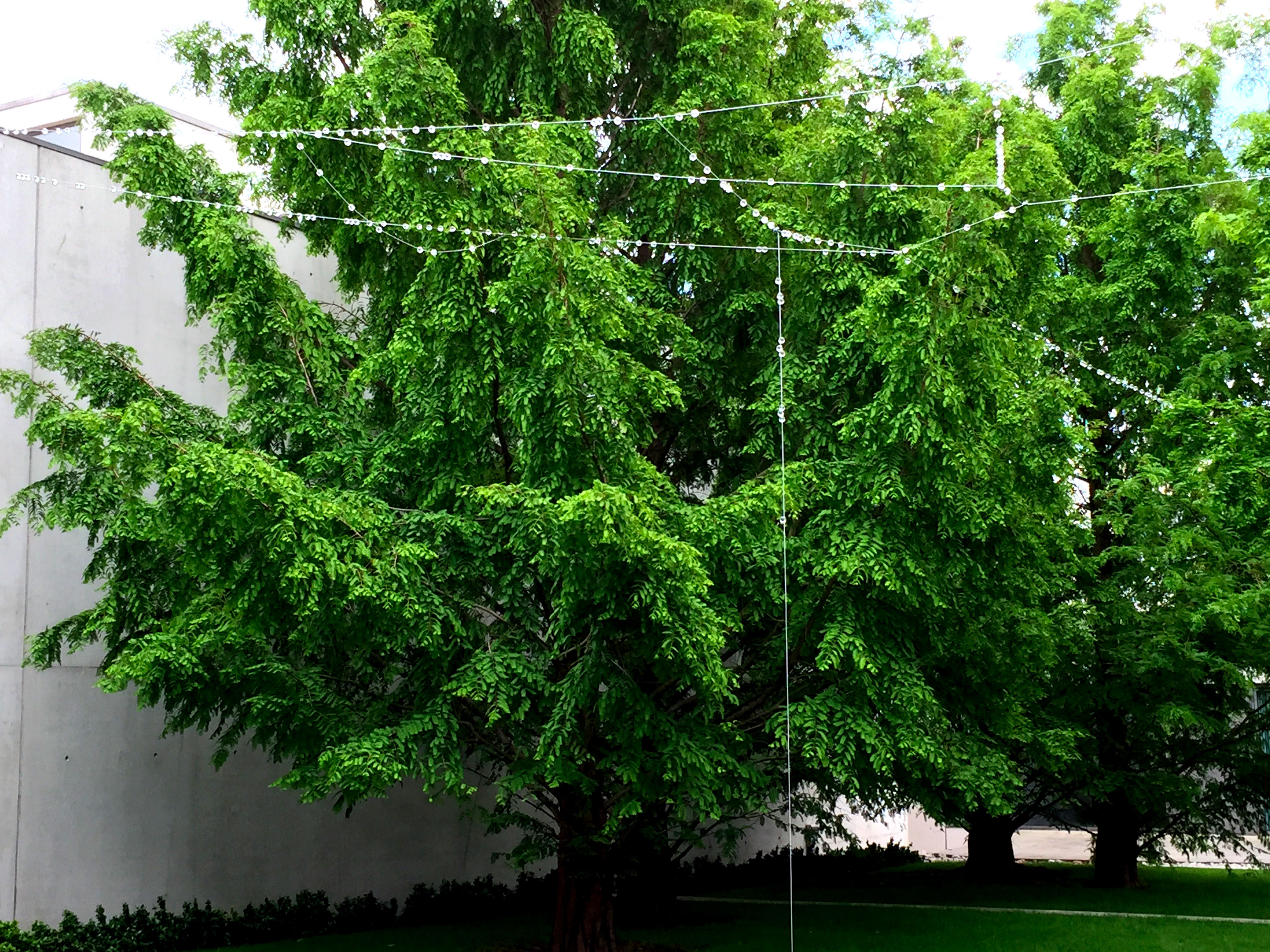 MAC VAL, Vitry-sur-Seine