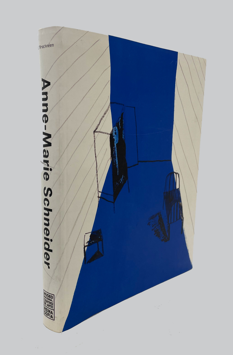 Anne-Marie Schneider