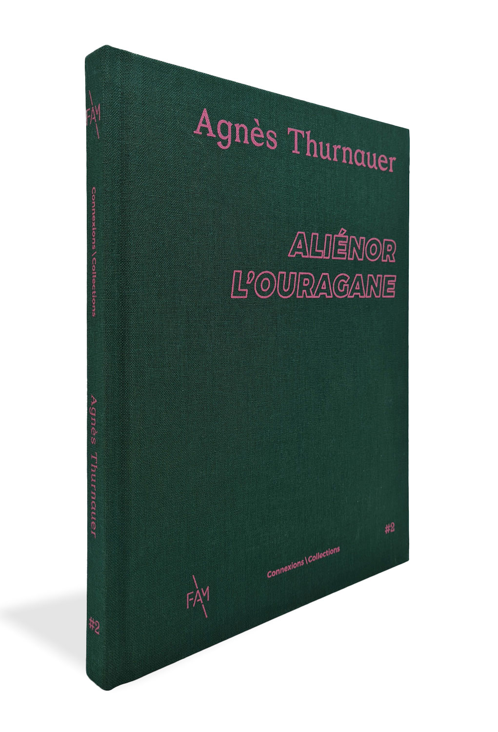 Agnès Thurnauer, Aliénor l'Ouragane