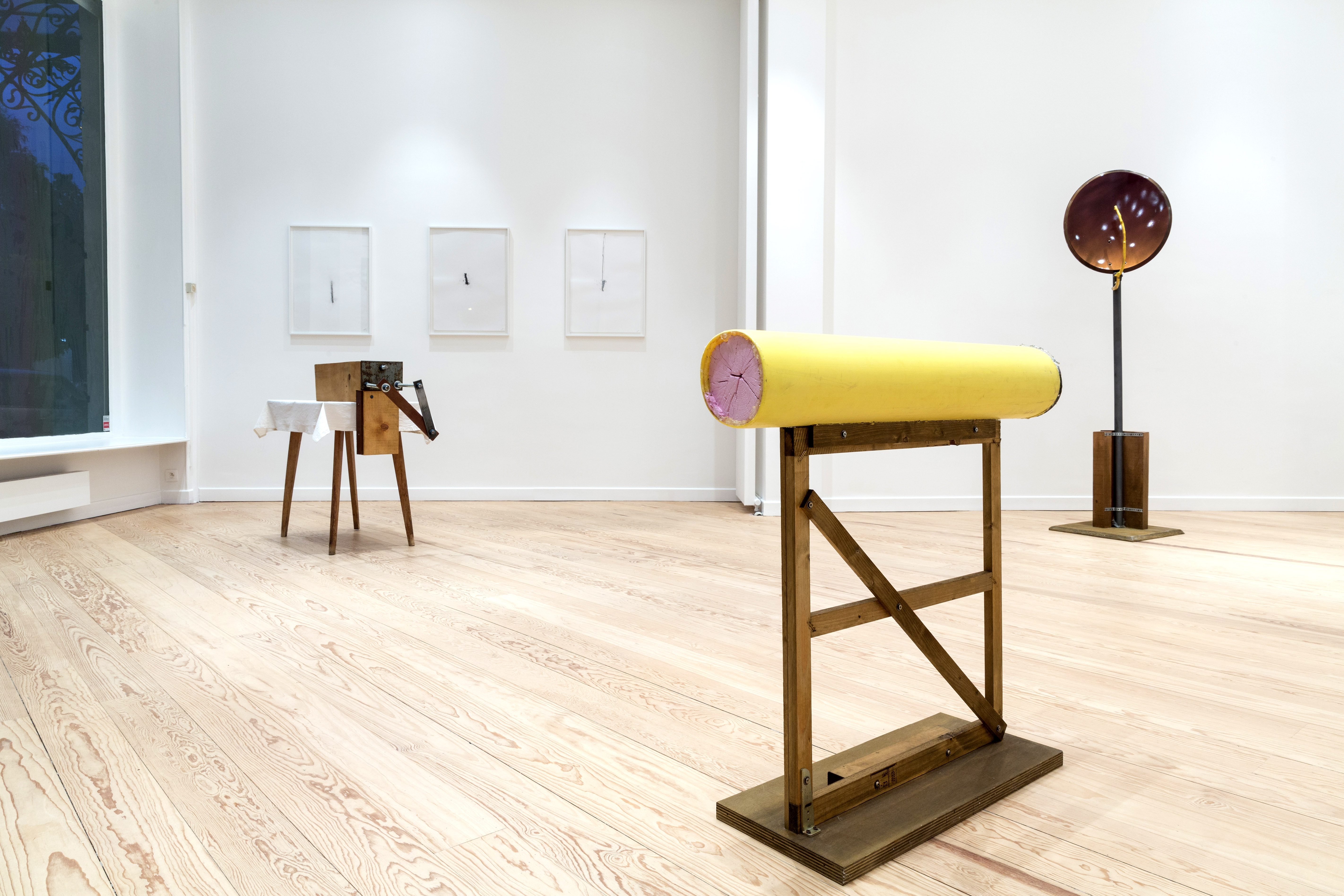 Jimmie Durham - INAUGURAL EXHIBITION / Works of Science and Yellowness