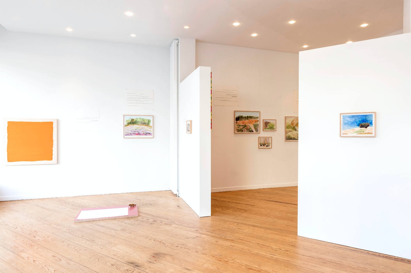 Maria Thereza Alves - The Flood