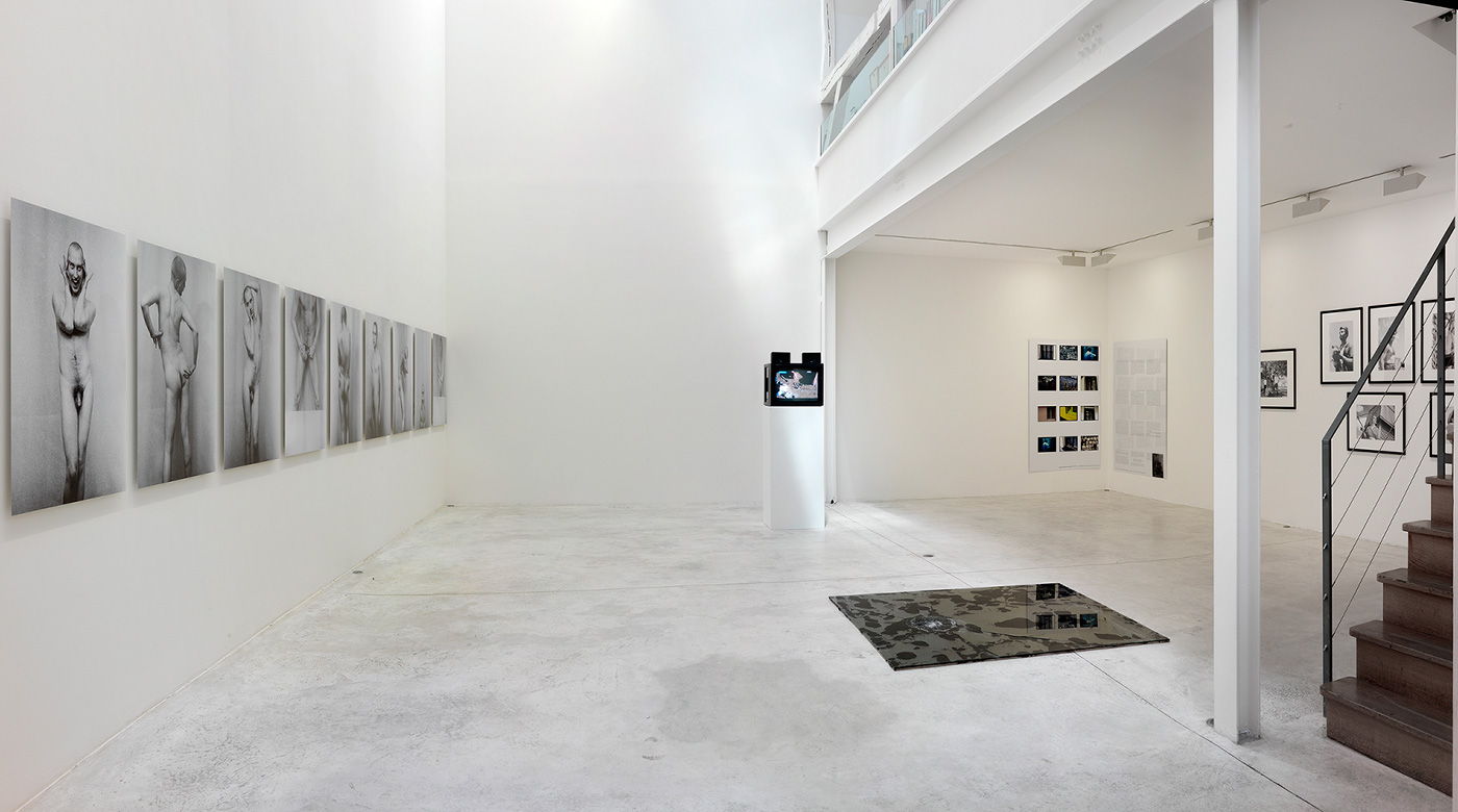 Maja Bajevic, Per Barclay, Jimmie Durham, Jean-Charles Hue, Dan Perjovschi, Mark Raidpere, Alejandra Riera, Artur Zmijewski - Effet Miroir