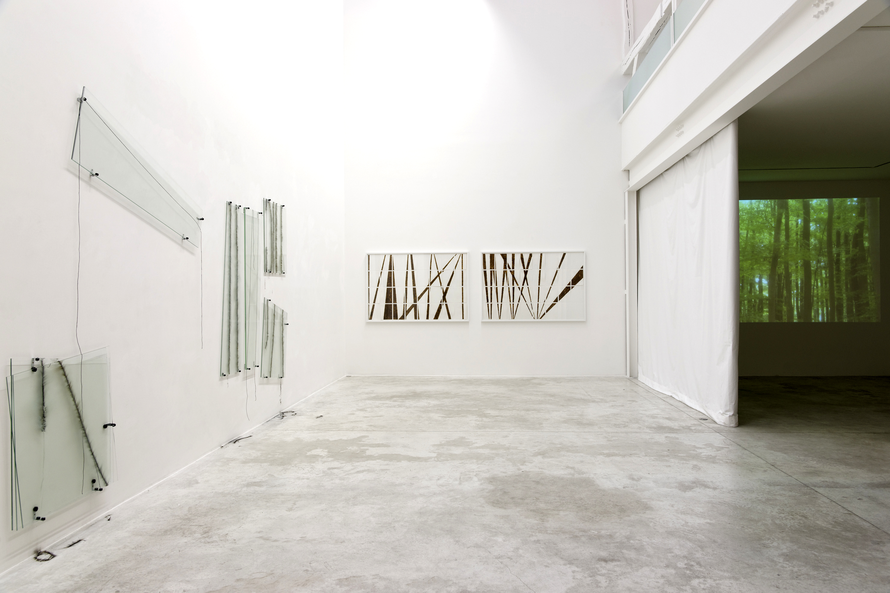 Elisa Pône - Le goût du mercure