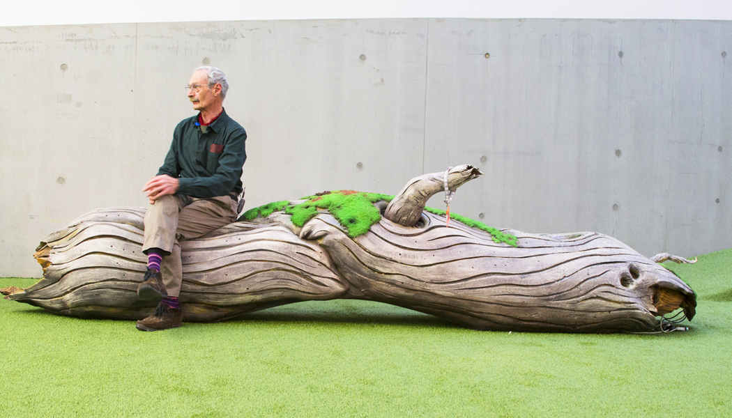 Piero Gilardi - Piero Gilardi