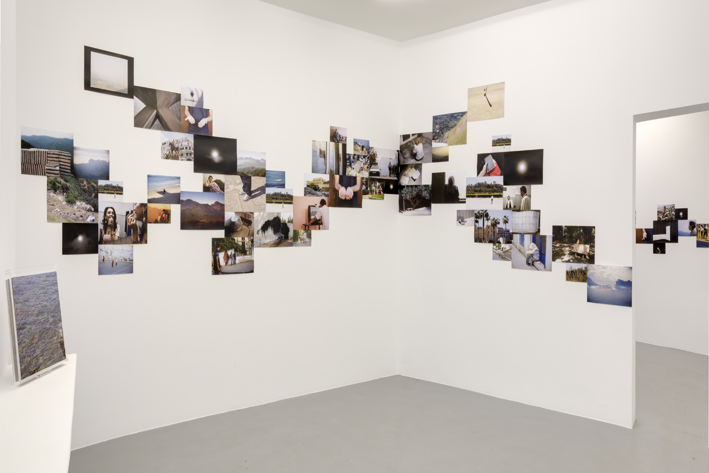 Carole Douillard - Dog life - Unfolded pictures