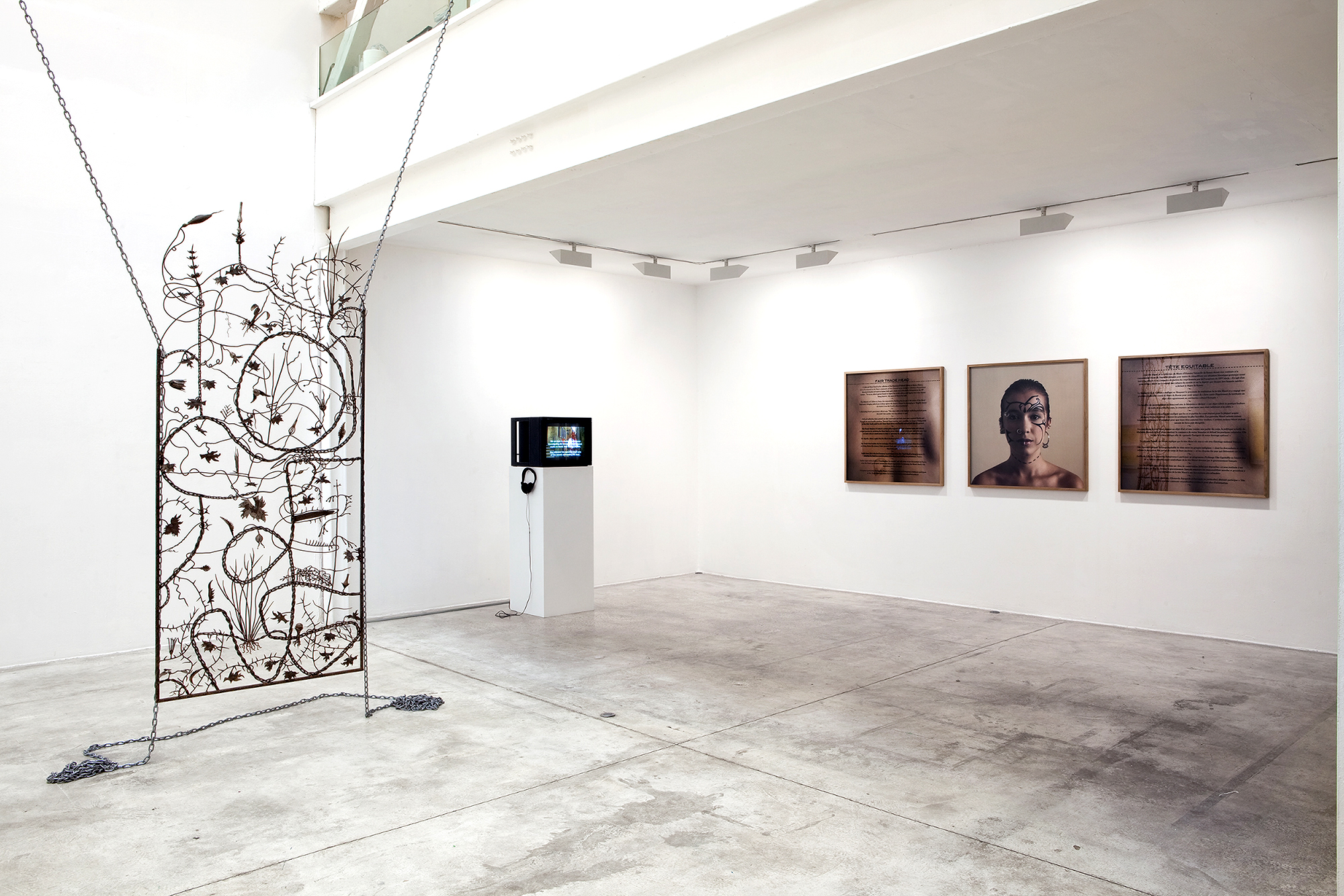 Maria Thereza Alves - Constructed Landscapes