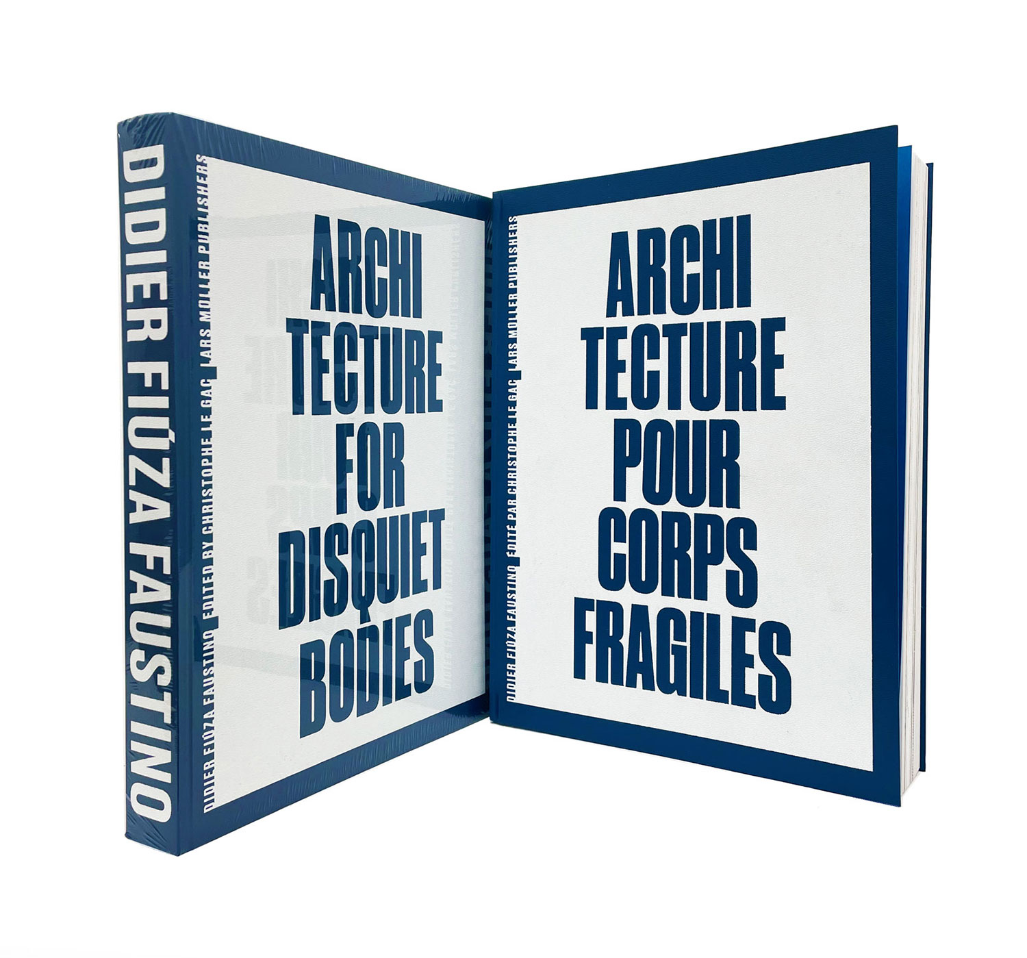 Didier Fiúza Faustino