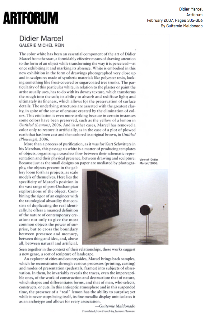 Didier Marcel - Artforum